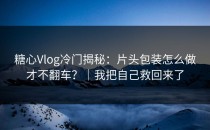 糖心Vlog冷门揭秘：片头包装怎么做才不翻车？｜我把自己救回来了