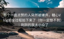 那个一直点赞的人突然被嫌弃，糖心Vlog把全过程拍下来了（你一定想不到）｜刚刚的我太小众了