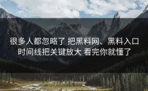 很多人都忽略了 把黑料网、黑料入口时间线把关键放大 看完你就懂了