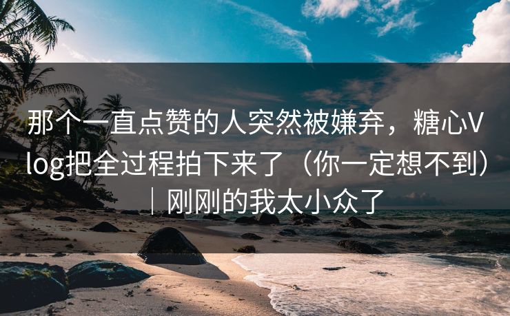 那个一直点赞的人突然被嫌弃，糖心Vlog把全过程拍下来了（你一定想不到）｜刚刚的我太小众了  第1张
