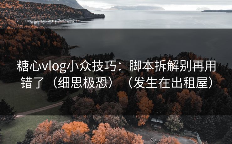 糖心vlog小众技巧：脚本拆解别再用错了（细思极恐）（发生在出租屋）  第1张
