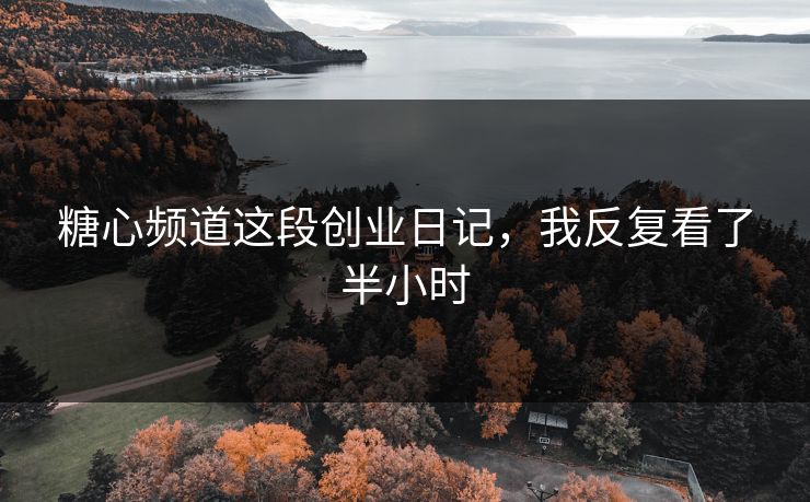 糖心频道这段创业日记，我反复看了半小时