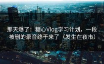 那天爆了：糖心Vlog学习计划，一段被删的录音终于来了（发生在夜市）