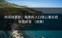 时间线更新：用黑料入口核心事实把信息补全 （进展）