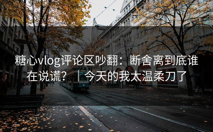 糖心vlog评论区吵翻：断舍离到底谁在说谎？｜今天的我太温柔刀了  第1张