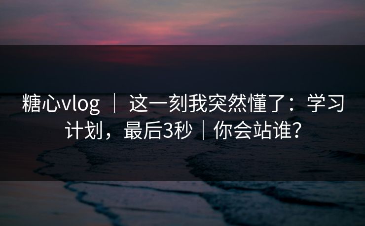 糖心vlog ｜ 这一刻我突然懂了：学习计划，最后3秒｜你会站谁？  第1张