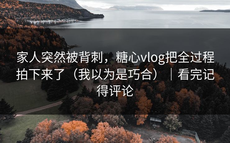 家人突然被背刺，糖心vlog把全过程拍下来了（我以为是巧合）｜看完记得评论  第1张