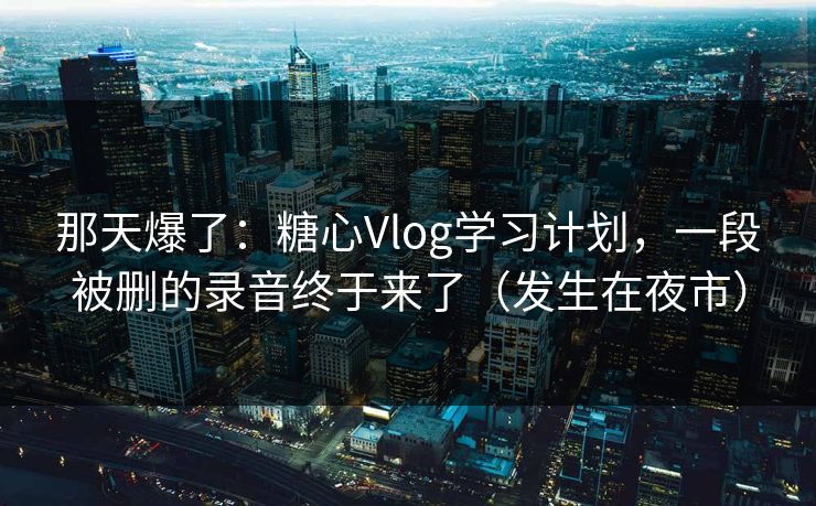 那天爆了：糖心Vlog学习计划，一段被删的录音终于来了（发生在夜市）  第1张
