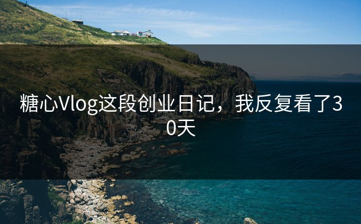 糖心Vlog这段创业日记，我反复看了30天  第1张