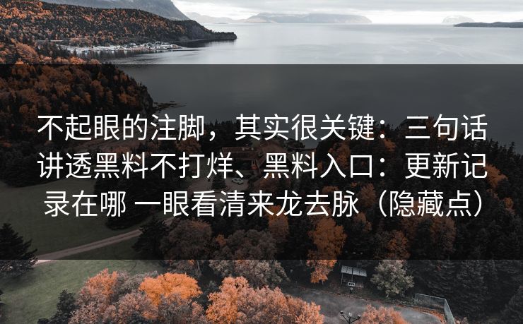不起眼的注脚，其实很关键：三句话讲透黑料不打烊、黑料入口：更新记录在哪 一眼看清来龙去脉（隐藏点）  第1张